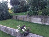 fotografia